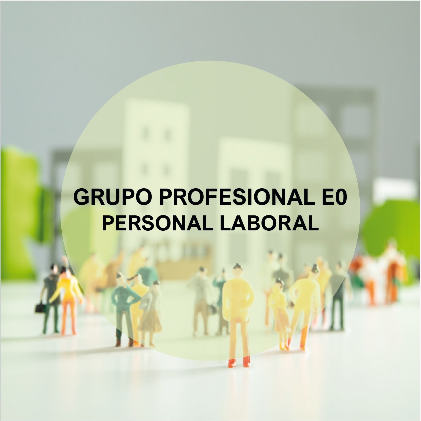 Grupo Profesional E0 Personal Laboral